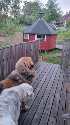 Dammstugan in Klippan