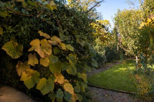 Al Porto Di Lucca B&B - main image
