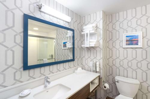 Hampton Inn Buffalo-South/I-90 - image 18