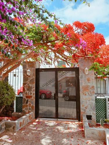 Apartamentos las Acacias - image 6