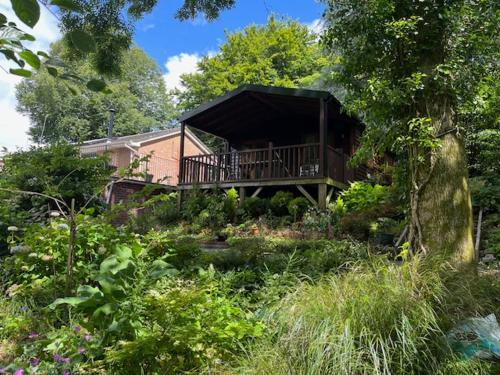 Woodland Views Lodge in Milton Abbas
