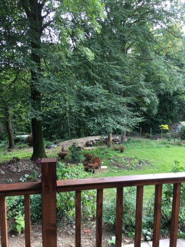 Woodland Views Lodge in Milton Abbas