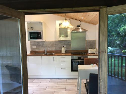 Woodland Views Lodge in Milton Abbas