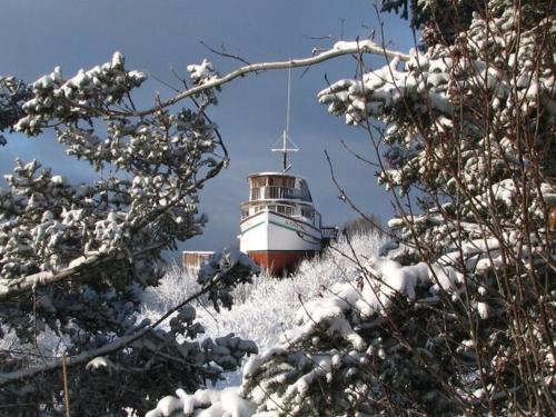 Alaska Adventure Cabins