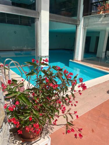 La Casa di Samantha a Villa Regina a picco sul mare con piscina