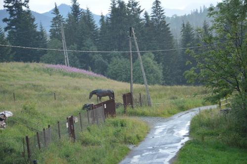 MSC Apartments Honeymoon, Zakopane (photo 7)