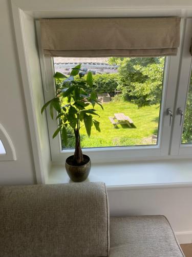  de Zuiderstolp in Zuidermeer