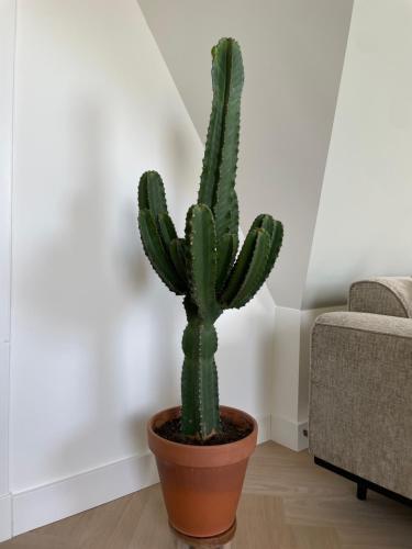  de Zuiderstolp in Zuidermeer