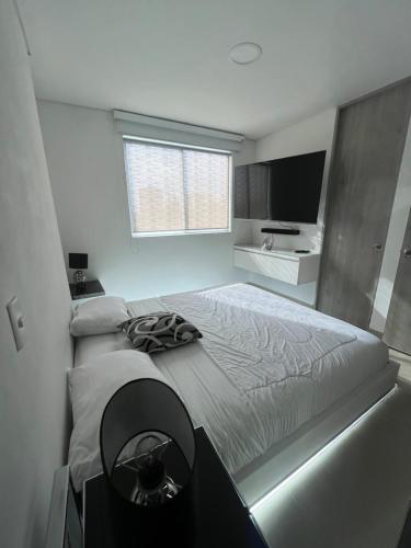 Luxor apartment, Medellín (fotografie 4)