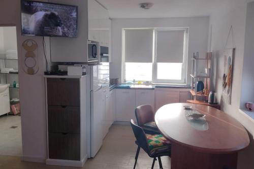 La Julia in Костінешть