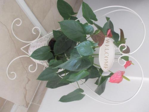  Guesthouse Tiban in Velika Gorica