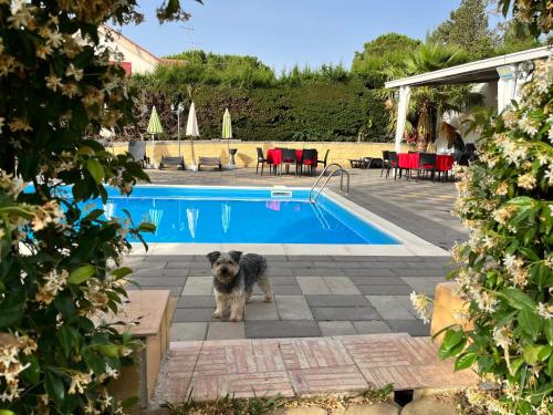 Refined Villa in Enna with Private Pool