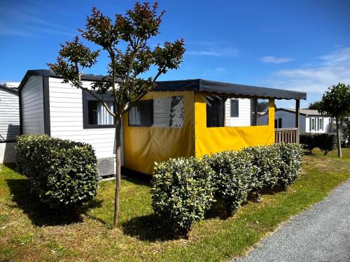 Mobile Home