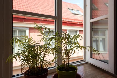 Amazing Riga Old Town apartment, Riga (foto 7)