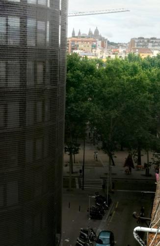 AlohPepa, Barcelona (zdjęcie 8)