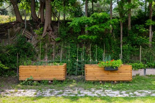 Bubamara - Bed and Breakfast, Lazise (foto 10)
