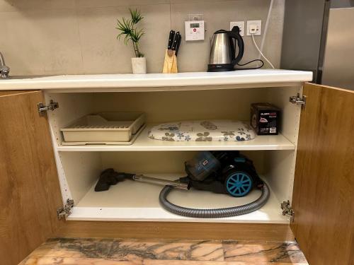 Luxury Apartment - image 4