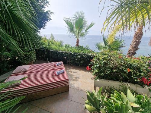 Condesa del Mar adults only - 주변 환경