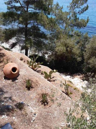 Δωμάτια Κόκκινος Πύργος, Plomarion (fotografie 5)