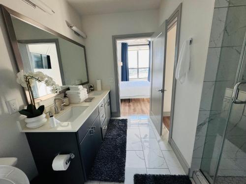 NRG MedLux Haven Premier Retreat in Houston, USA