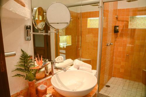 Petit Mesón (Pet Friendly Hotel) 4