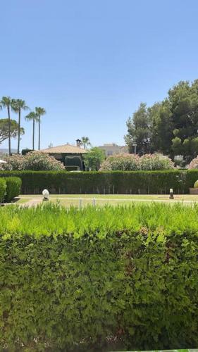 Superbe appartement à proximité de la plage Superbe appartement à proximité de la plage