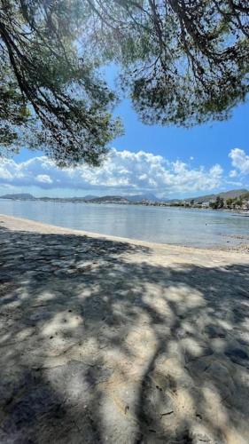 Superbe appartement à proximité de la plage Superbe appartement à proximité de la plage