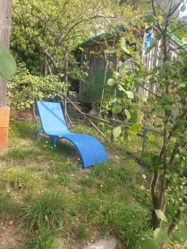  Pace tra gli ulivi e il mare in Sori