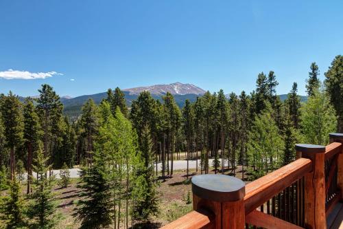 Fox Paw Lodge - Luxury Ski In Out Chalet w Views in Breckenridge, USA