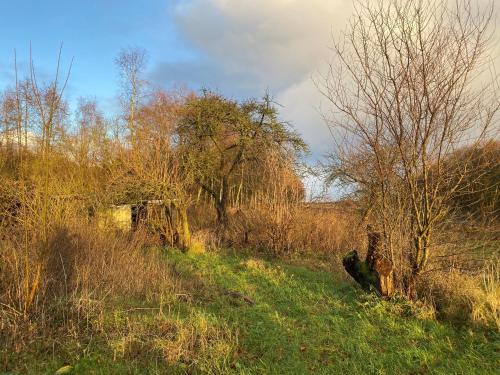 Dārzs, Ferien im Brookmerland in Leezdorf