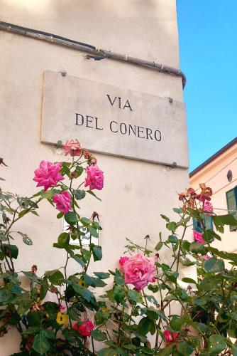  LoLé sulla Via del Conero in Ancona