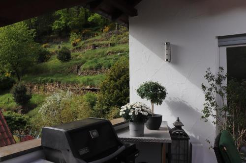 A környék, Residenz Waldblick 5 STERNE Penthouse-Ferienwohnung Klassifizierung DTV in Wachenheim an der Weinstrasse