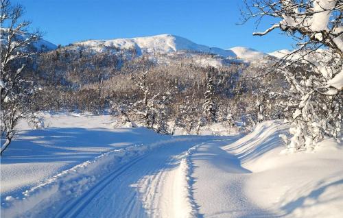外部景觀, Amazing Home In Åmotsdal With Kitchen (Amazing Home In Amotsdal With Kitchen) in 弗拉特達爾