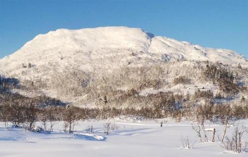 外部景觀, Amazing Home In Åmotsdal With Kitchen (Amazing Home In Amotsdal With Kitchen) in 弗拉特達爾