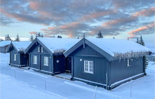 Exterior view, Beautiful Home In Sjusjøen With Wifi in Sjusjoen