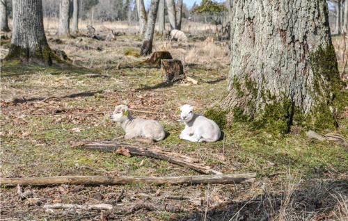 Exterior view, App 1 in Nybble