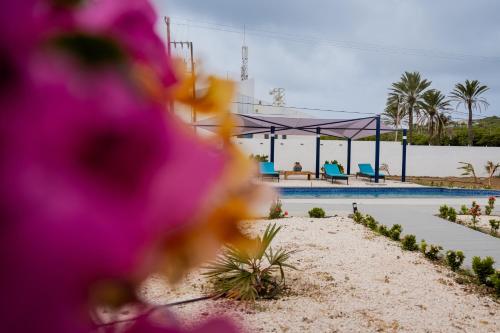 Dushi Vida Country Inn in 巴貝爾