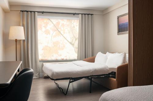 Fairfield Inn & Suites by Marriott Lexington Georgetown/College Inn - image 14