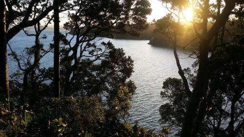 Auckland Clifftop, Auckland (photo 7)