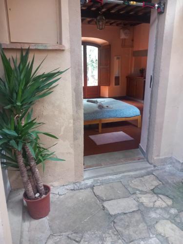 Sunshine Suites, Firenze (foto 4)