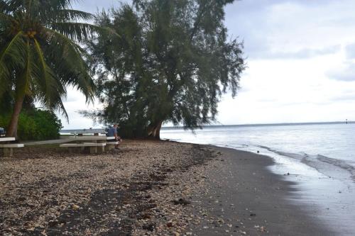 สภาพแวดล้อมโดยรอบ, faré apî (fare api) in มาทาเยีย