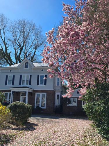 . Newly Renovated Historic 6-BR Manor plus 1-BR Apt, Where Timeless Elegance Meets Modern Luxury