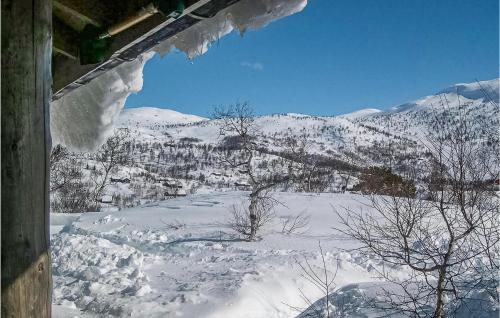 Skats, Holiday Home Vinje Skjærdalen in Vagsli