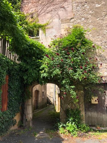 Ieeja, Appartement cosy en amoureux in Thauvenay