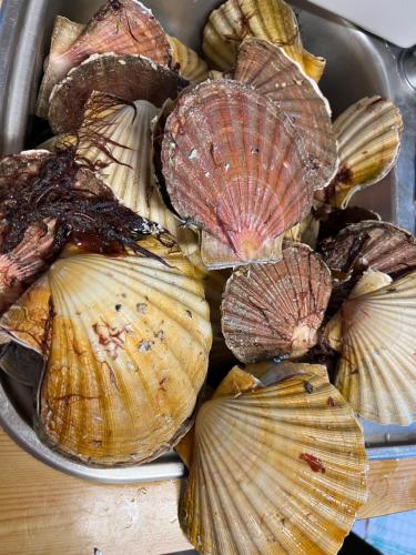 Øen Hytter 1 Øen Hytter 1