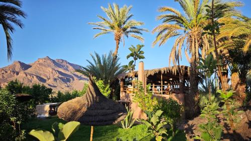 Skats, Lodge Hara Oasis in Agdz