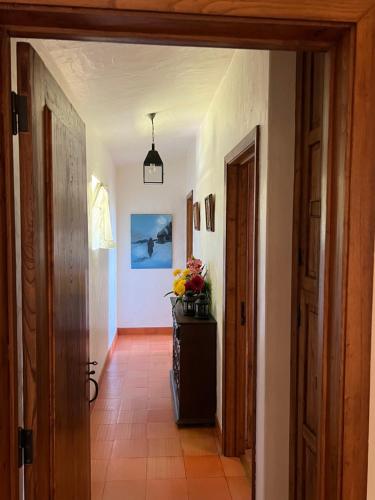 Casa Mata da Ribeira in อบาเด เด เนย์วา