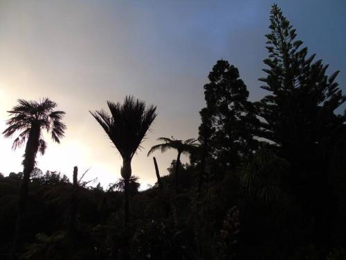 Walk in the forest and cycle to the sea in Frankleigh Park