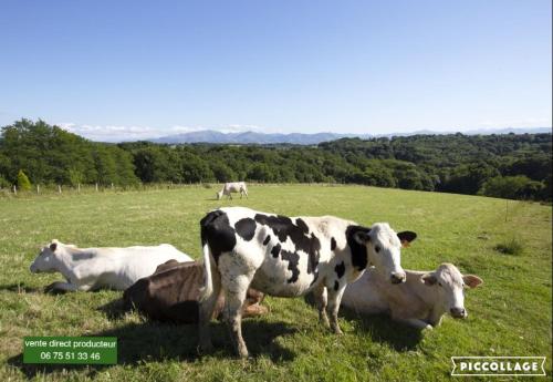 PURA VIDA # meublé plein de charme océan montagne (PURA VIDA # meuble plein de charme ocean montagne) in Villefranque