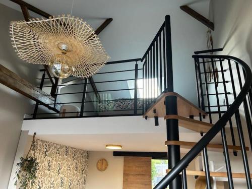 L'arbre de soie Futuroscope Acacia in Vouille